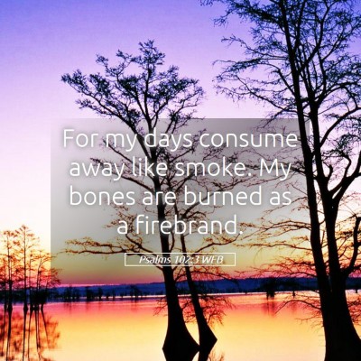 Picture 05 - Psalms 102:3 WEB - For my days consume away like smoke. My bones are - Bible Verse Picture
