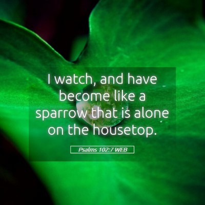 Picture 05 - Psalms 102:7 WEB - I watch, and have become like a sparrow that is - Bible Verse Picture