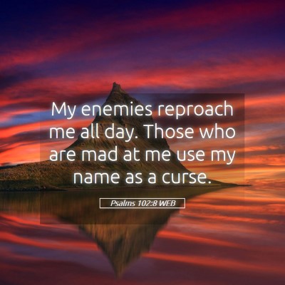 Picture 05 - Psalms 102:8 WEB - My enemies reproach me all day. Those who are mad - Bible Verse Picture