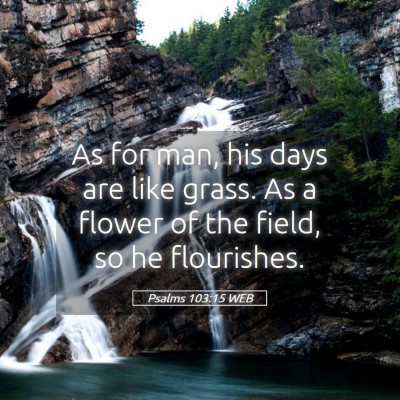 Picture 05 - Psalms 103:15 WEB - As for man, his days are like grass. As a flower - Bible Verse Picture