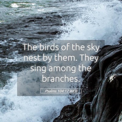 Picture 05 - Psalms 104:12 WEB - The birds of the sky nest by them. They sing - Bible Verse Picture