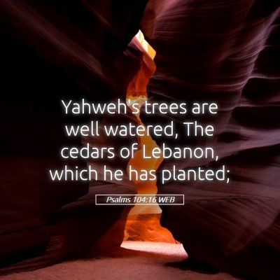 Picture 05 - Psalms 104:16 WEB - Yahweh's trees are well watered, The cedars of - Bible Verse Picture