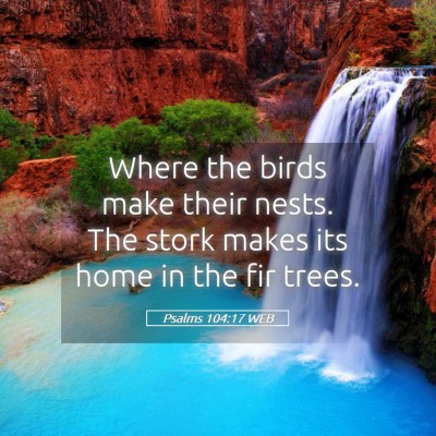 Picture 05 - Psalms 104:17 WEB - Where the birds make their nests. The stork makes - Bible Verse Picture
