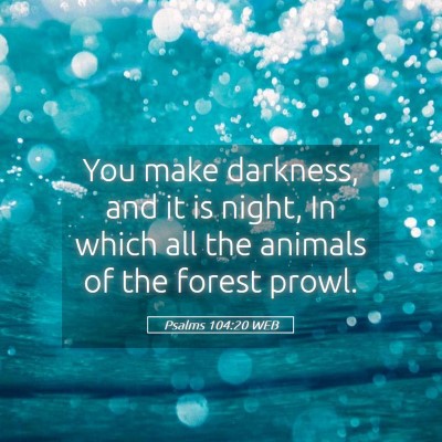 Picture 05 - Psalms 104:20 WEB - You make darkness, and it is night, In which all - Bible Verse Picture