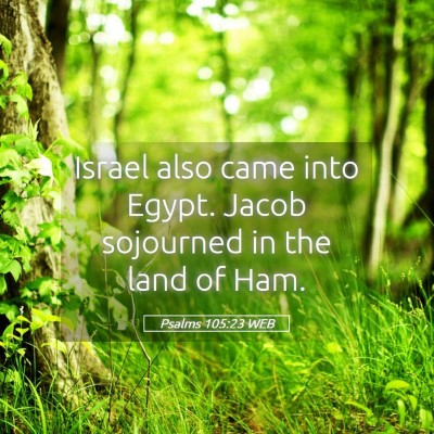Picture 05 - Psalms 105:23 WEB - Israel also came into Egypt. Jacob sojourned in - Bible Verse Picture