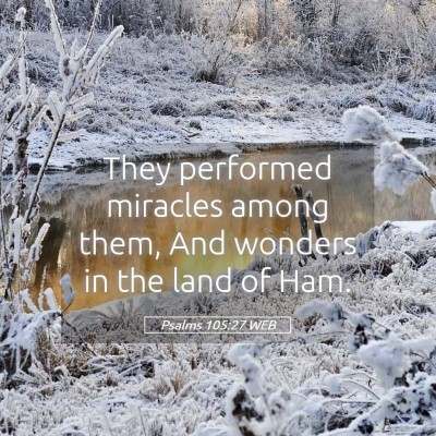 Picture 05 - Psalms 105:27 WEB - They performed miracles among them, And wonders - Bible Verse Picture