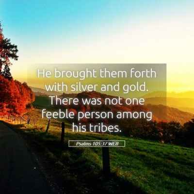 Picture 05 - Psalms 105:37 WEB - He brought them forth with silver and gold. There - Bible Verse Picture