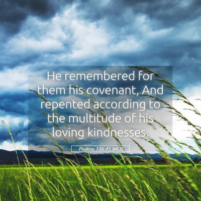 Picture 05 - Psalms 106:45 WEB - He remembered for them his covenant, And repented - Bible Verse Picture