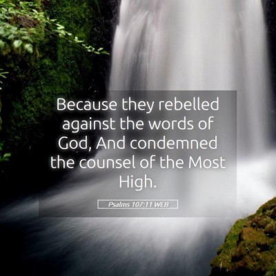 Picture 05 - Psalms 107:11 WEB - Because they rebelled against the words of God, - Bible Verse Picture