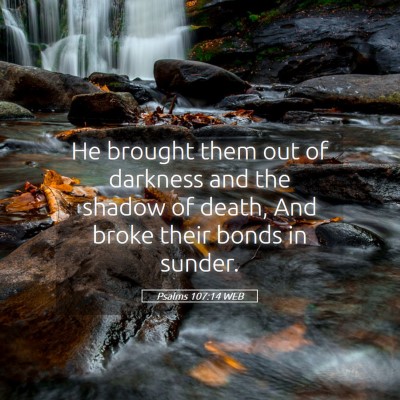 Picture 05 - Psalms 107:14 WEB - He brought them out of darkness and the shadow of - Bible Verse Picture