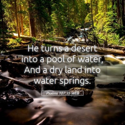 Picture 05 - Psalms 107:35 WEB - He turns a desert into a pool of water, And a dry - Bible Verse Picture