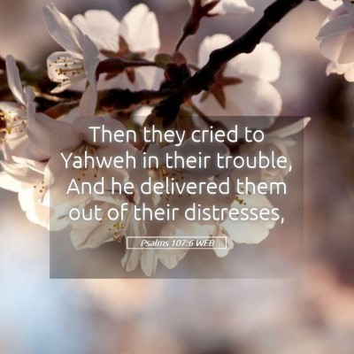 Picture 05 - Psalms 107:6 WEB - Then they cried to Yahweh in their trouble, And - Bible Verse Picture