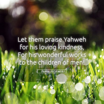 Picture 05 - Psalms 107:8 WEB - Let them praise Yahweh for his loving kindness, - Bible Verse Picture