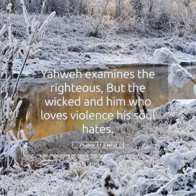 Picture 05 - Psalms 11:5 WEB - Yahweh examines the righteous, But the wicked and - Bible Verse Picture