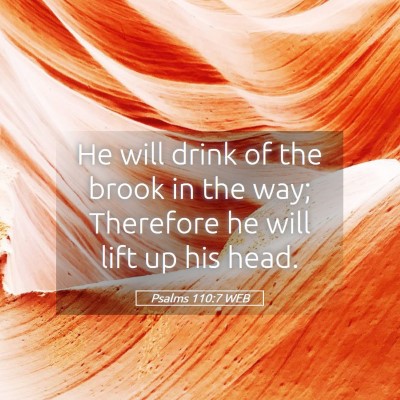 Picture 05 - Psalms 110:7 WEB - He will drink of the brook in the way; Therefore - Bible Verse Picture