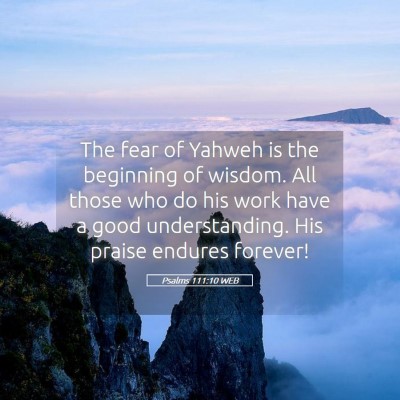 Picture 05 - Psalms 111:10 WEB - The fear of Yahweh is the beginning of wisdom. - Bible Verse Picture
