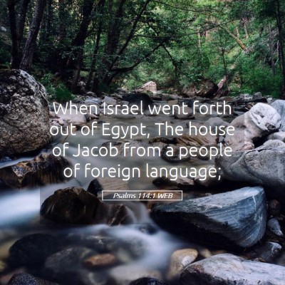 Picture 05 - Psalms 114:1 WEB - When Israel went forth out of Egypt, The house of - Bible Verse Picture