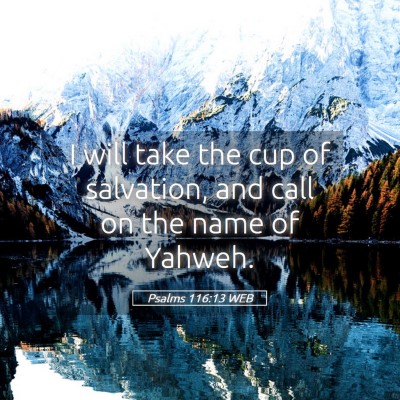 Picture 05 - Psalms 116:13 WEB - I will take the cup of salvation, and call on the - Bible Verse Picture