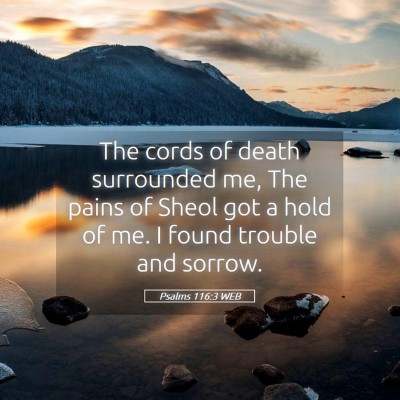 Picture 05 - Psalms 116:3 WEB - The cords of death surrounded me, The pains of - Bible Verse Picture