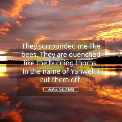 Picture 05 - Psalms 118:12 WEB - They surrounded me like bees. They are quenched - Bible Verse Picture