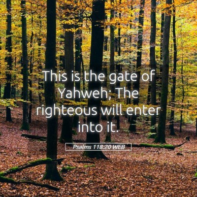 Picture 05 - Psalms 118:20 WEB - This is the gate of Yahweh; The righteous will - Bible Verse Picture