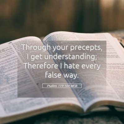 Picture 05 - Psalms 119:104 WEB - Through your precepts, I get understanding; - Bible Verse Picture