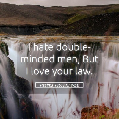 Picture 05 - Psalms 119:113 WEB - I hate double-minded men, But I love your - Bible Verse Picture