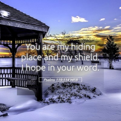 Picture 05 - Psalms 119:114 WEB - You are my hiding place and my shield. I hope in - Bible Verse Picture