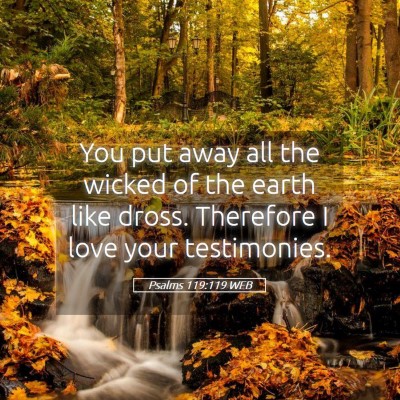 Picture 05 - Psalms 119:119 WEB - You put away all the wicked of the earth like - Bible Verse Picture