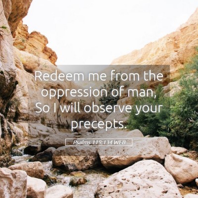 Picture 05 - Psalms 119:134 WEB - Redeem me from the oppression of man, So I will - Bible Verse Picture