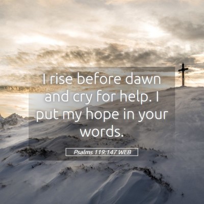 Picture 05 - Psalms 119:147 WEB - I rise before dawn and cry for help. I put my - Bible Verse Picture