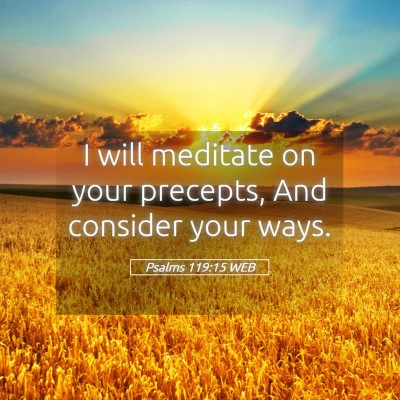 Picture 05 - Psalms 119:15 WEB - I will meditate on your precepts, And consider - Bible Verse Picture