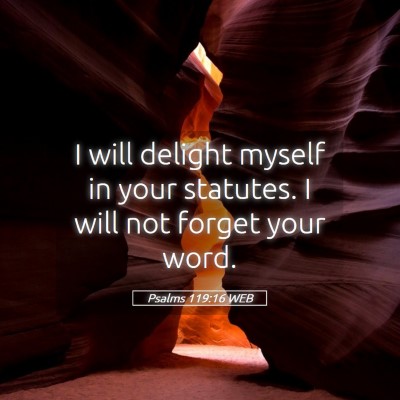 Picture 05 - Psalms 119:16 WEB - I will delight myself in your statutes. I will - Bible Verse Picture