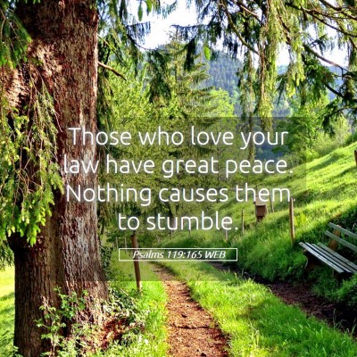 Picture 05 - Psalms 119:165 WEB - Those who love your law have great peace. Nothing - Bible Verse Picture