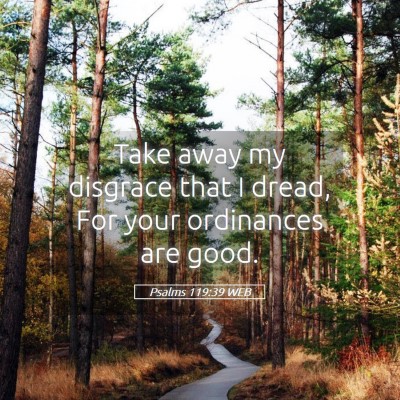 Picture 05 - Psalms 119:39 WEB - Take away my disgrace that I dread, For your - Bible Verse Picture