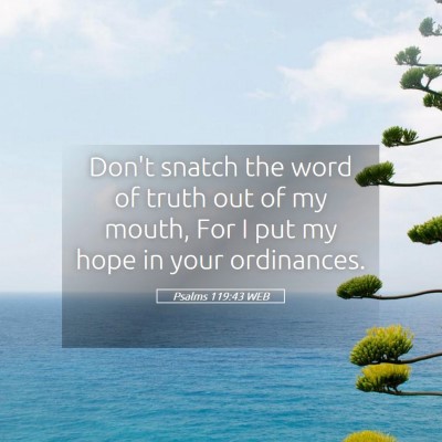 Picture 05 - Psalms 119:43 WEB - Don't snatch the word of truth out of my mouth, - Bible Verse Picture