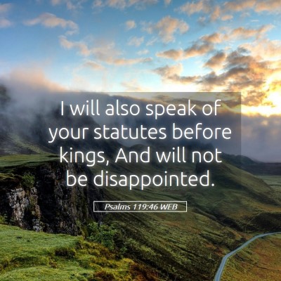 Picture 05 - Psalms 119:46 WEB - I will also speak of your statutes before kings, - Bible Verse Picture