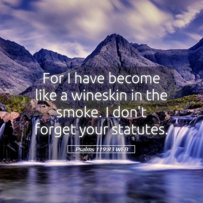Picture 05 - Psalms 119:83 WEB - For I have become like a wineskin in the smoke. I - Bible Verse Picture