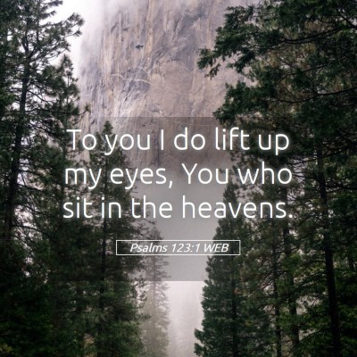 Picture 05 - Psalms 123:1 WEB - To you I do lift up my eyes, You who sit in the - Bible Verse Picture
