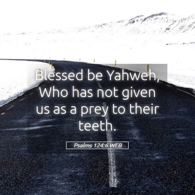 Picture 05 - Psalms 124:6 WEB - Blessed be Yahweh, Who has not given us as a prey - Bible Verse Picture
