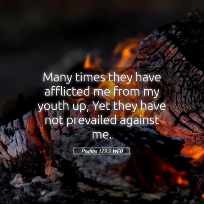 Picture 05 - Psalms 129:2 WEB - Many times they have afflicted me from my youth - Bible Verse Picture