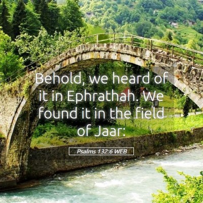 Picture 05 - Psalms 132:6 WEB - Behold, we heard of it in Ephrathah. We found it - Bible Verse Picture