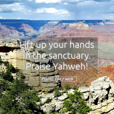 Picture 05 - Psalms 134:2 WEB - Lift up your hands in the sanctuary. Praise - Bible Verse Picture