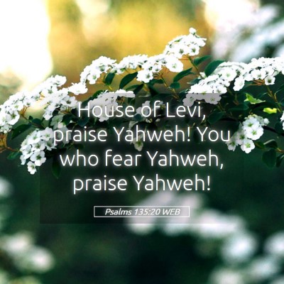 Picture 05 - Psalms 135:20 WEB - House of Levi, praise Yahweh! You who fear - Bible Verse Picture