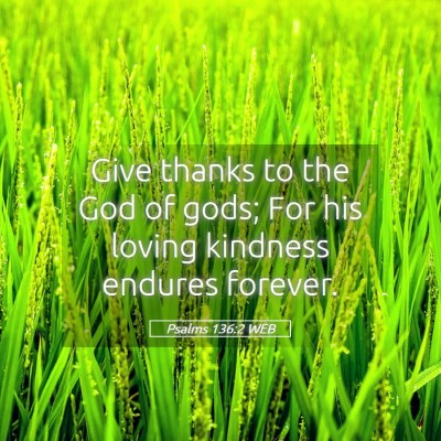 Picture 05 - Psalms 136:2 WEB - Give thanks to the God of gods; For his loving - Bible Verse Picture