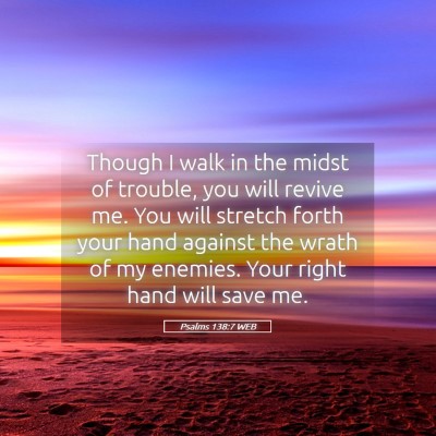 Picture 05 - Psalms 138:7 WEB - Though I walk in the midst of trouble, you will - Bible Verse Picture
