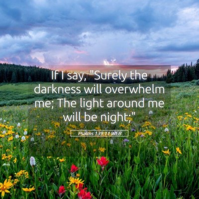 Picture 05 - Psalms 139:11 WEB - If I say, 