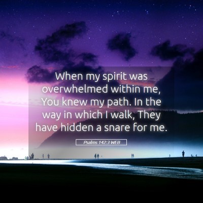 Picture 05 - Psalms 142:3 WEB - When my spirit was overwhelmed within me, You - Bible Verse Picture