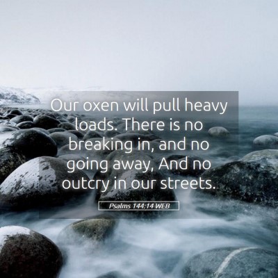 Picture 05 - Psalms 144:14 WEB - Our oxen will pull heavy loads. There is no - Bible Verse Picture