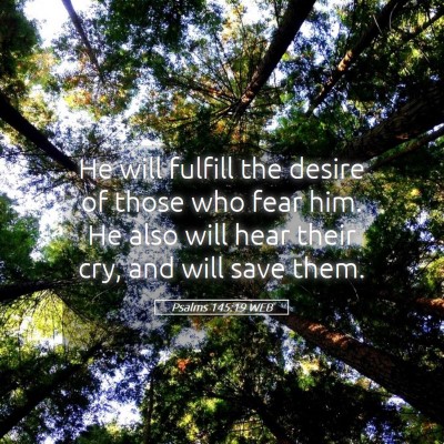 Picture 05 - Psalms 145:19 WEB - He will fulfill the desire of those who fear him. - Bible Verse Picture